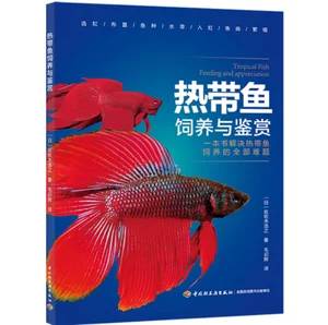 想养鱼什么鱼好养
