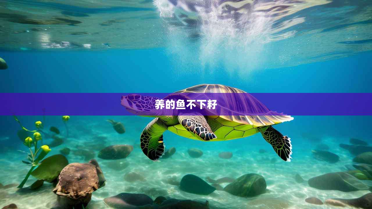 养的鱼不下籽
