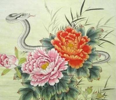 属蛇的养什么鱼好