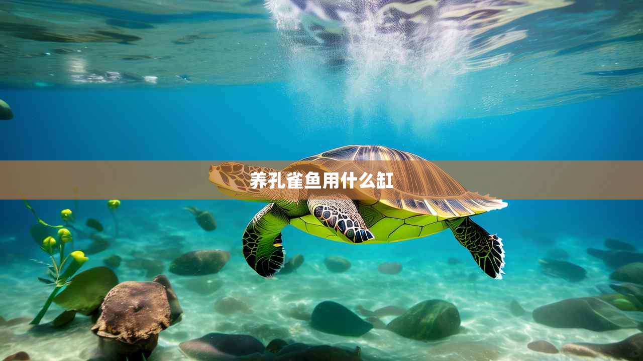 养孔雀鱼用什么缸