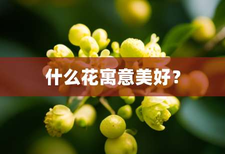 2什么花寓意美好？