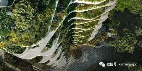 节省空间的室内垂直花园