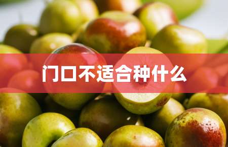 2门口不适合种什么