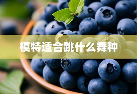 2模特适合跳什么舞种