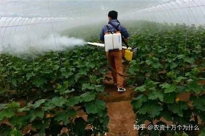 化学防治与农艺措施的结合应用