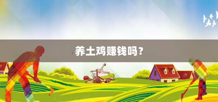 养土鸡赚钱吗？
